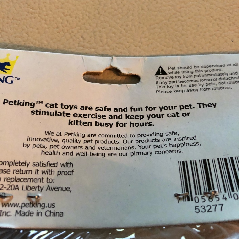 CATS 🐈 - Picture 7 of 9